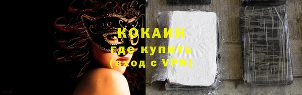 ECSTASY Алзамай