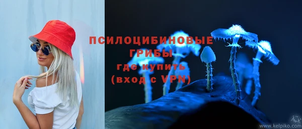 тгк Алексеевка