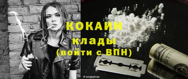 ECSTASY Алзамай