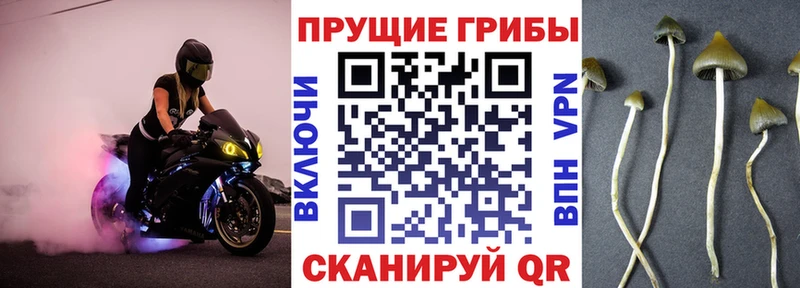 МЕГА зеркало  Нурлат  Псилоцибиновые грибы Psilocybine cubensis 